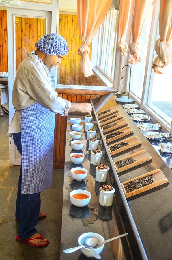 Tumsong Chiabari - The Tea Retreat Hotel Darjeeling  Esterno foto